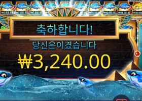 피시 아이 추가 스핀 실패