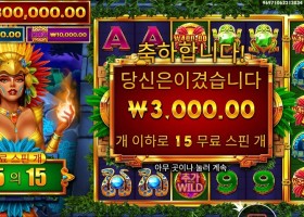 파이어버드 스피릿 후기