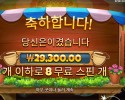 커피 와일드 29천원