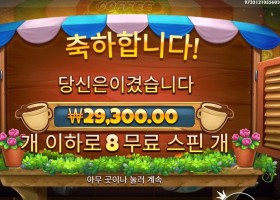 커피 와일드 29천원