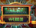 드래곤 킹 핫 팟 랜덤