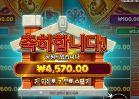 브릭 하우스 보난자