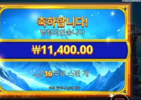 프라그마틱 히말라얀 와일드