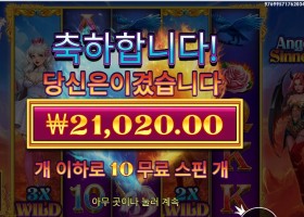 엔젤 & 시너 후기