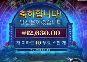 파이어 포탈즈 12천원