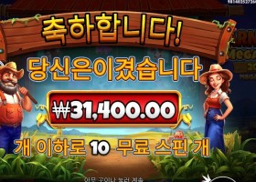 반야드 메가헤이즈 157배