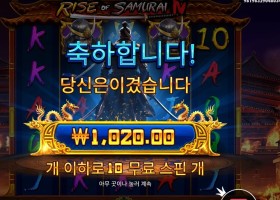 라이즈 오브 사무라이 4 천원