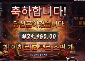 블레이드 앤 팽즈 24천원