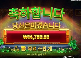 휠 오골드 １４천원