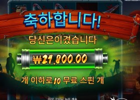 좀비 트레인 ６콩 배팅