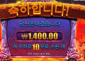 바이킹 포지 10스핀