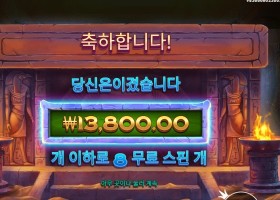 나일 포춘 13천원