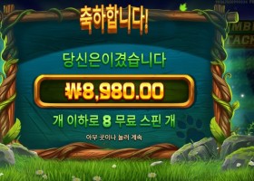 팀버 스택스 24천원 배팅