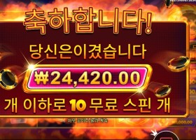 프라그마틱 캐시 칩스