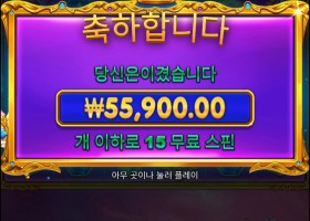 안주기 시작하네