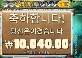 빅 배스 아마존 익스트림 13스핀