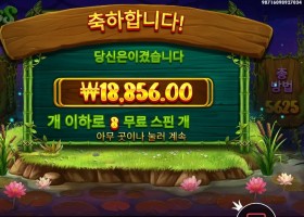 프로그스 앤 버그스 2콩 배팅