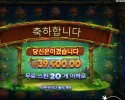 후르츠 오브 더 아마존 197배