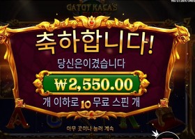 가토 카카즈 퓨리 10스핀