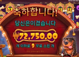 더 도그 하우스 멀티홀드 72천원