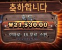 와일드 웨스트 골드 ２１천원