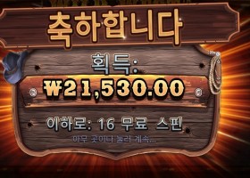 와일드 웨스트 골드 ２１천원