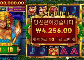 파이어 버드 스피릿