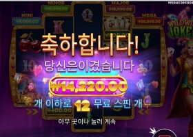 와일드 와일드 조커