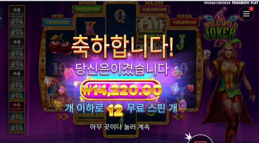 와일드 와일드 조커