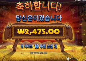 인기슬롯 와일드 와일드비스트 윈즈