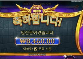 게이츠 오브 올림푸스 1000 다이스