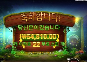 아이리스 크라운 ２７４배