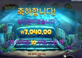 와일드 와일드 펄스 ７천원