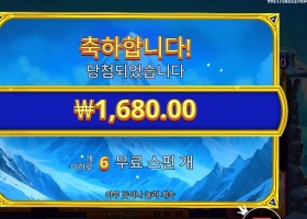 히말라얀 와일드 6스핀