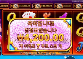 데빌리어스 후기