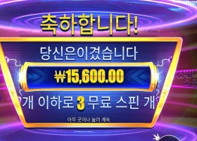 머니 스택스 4 스캐터