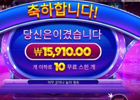 후르티 트릿스 １０스핀