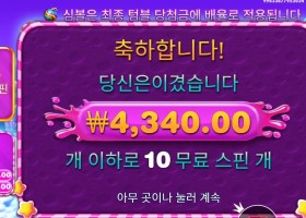 스위트 보난자 １０００