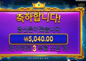 파치 슈퍼 스핀 후기