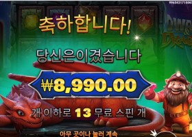 드워프 앤드 드래곤 １３스핀