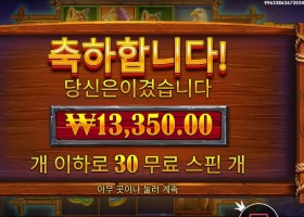 버팔로 킹 언테임드 13천원