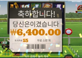 프론트 러너 15스핀