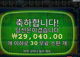 빅 배스 미션 피쉰 ２９천원