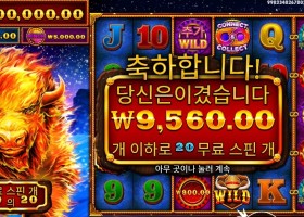 프라그마틱 파이어 스탬피드