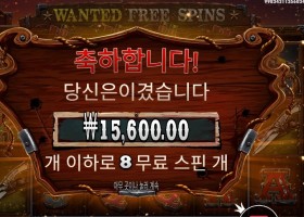 더 와일드 갱 후기