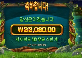 팀버 스택스 １０바퀴