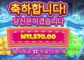 캔디 자 클러스터 １１천원