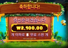 3 버징 와일드 확장 픽