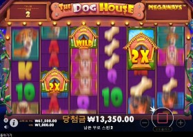 이제 튀어 튀어 개집3