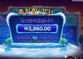 프로즌 트로픽스 3천원